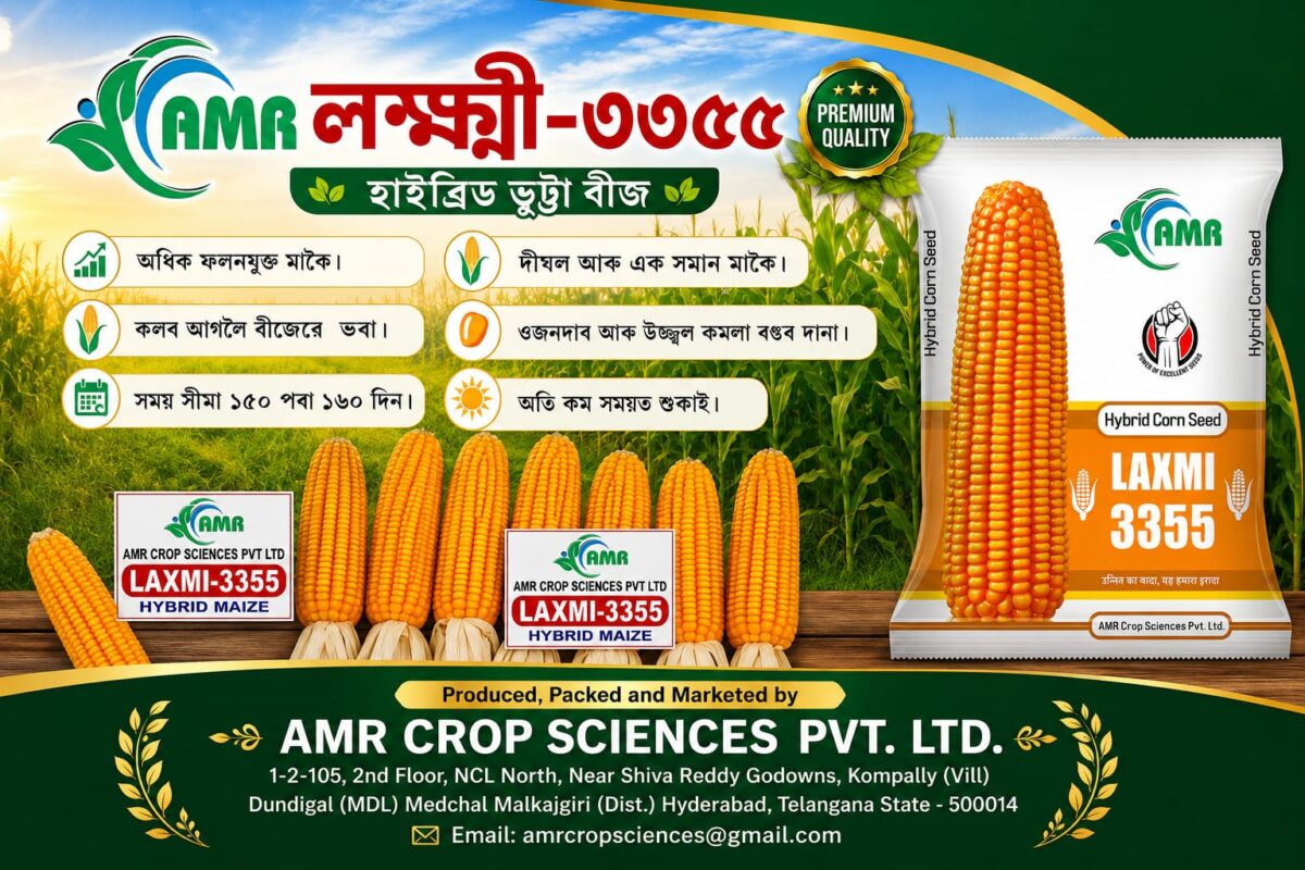 WhatsApp Image 2026-06-13 at 10.25.10 PM