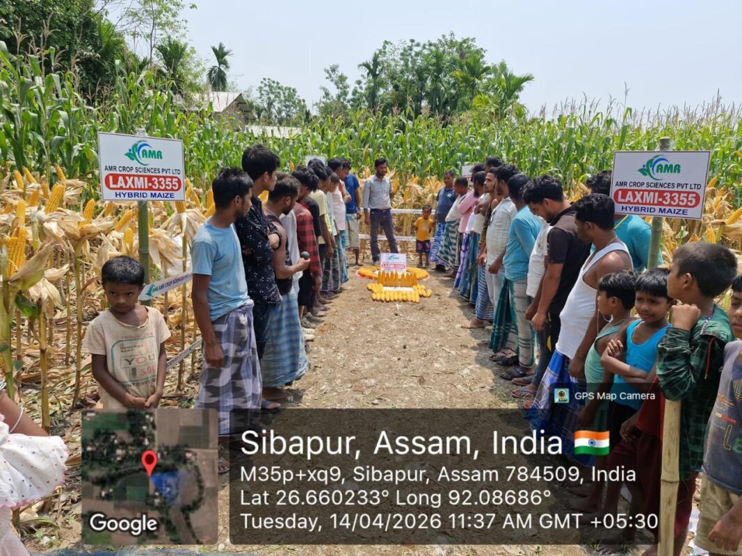 WhatsApp Image 2026-06-13 at 9.54.16 PM